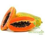 FEIRA MAMAO FORMOSA 1UN APROX. 700G