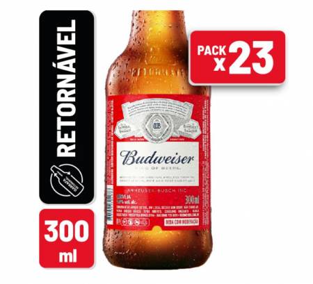 CERVEJA BUDWEISER GF 300ML