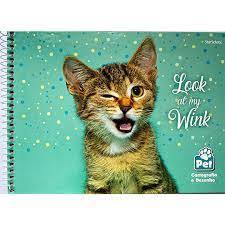 CADERNO CARTOGRAFIA DESENHO CD STARSCHOOL 80FL PET