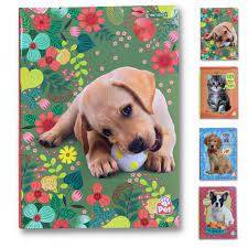 CADERNO BROCHURA CD STARSCHOOL 80FL PET